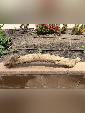 Natural Driftwood Climbing Branch for Reptiles